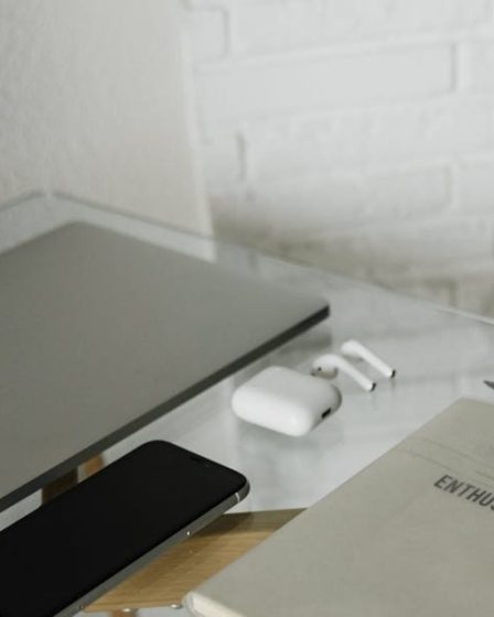 Job and freelance work: فرق بين العمل الحر و وظيفة
